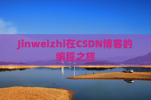 Jinweizhi在CSDN博客的编程之旅